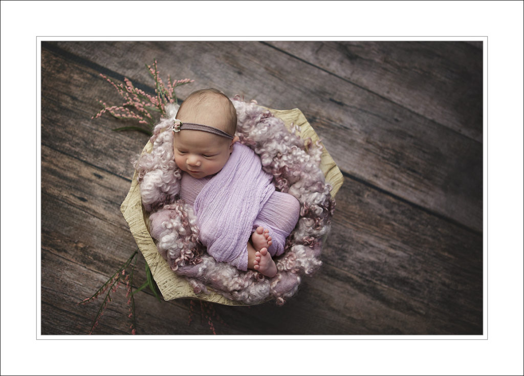 Edgewood baby portraits